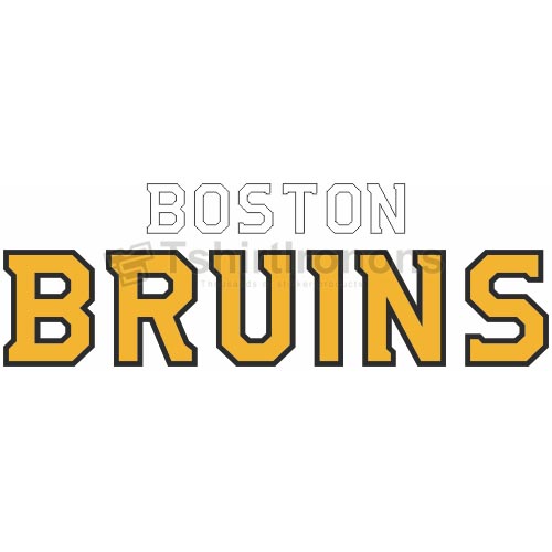 Boston Bruins T-shirts Iron On Transfers N68 - Click Image to Close